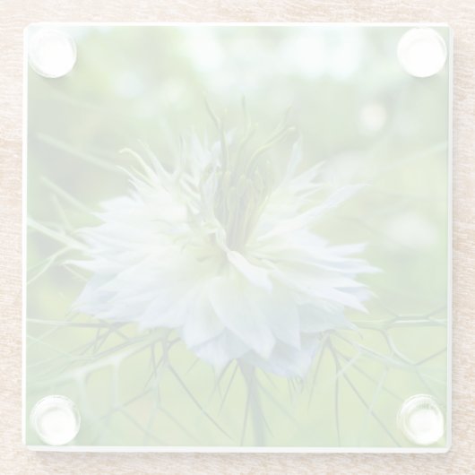 Kornblume Glasuntersetzer (Rückseite)