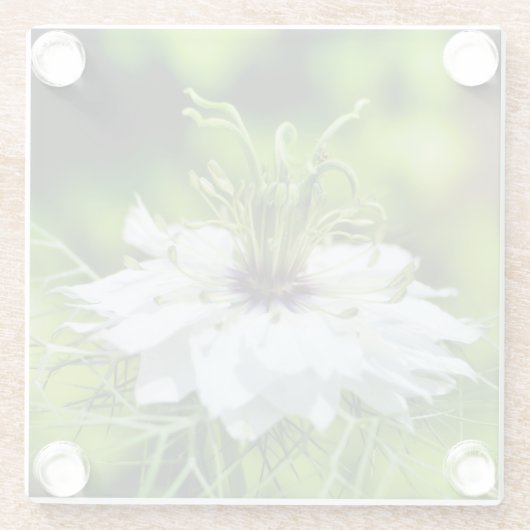 Kornblume Glasuntersetzer (Rückseite)