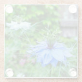 Kornblume Glasuntersetzer (Rückseite)