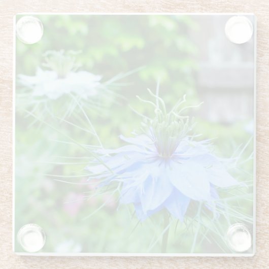 Kornblume Glasuntersetzer (Rückseite)