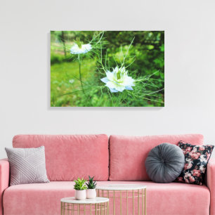 Kornblume Leinwanddruck