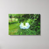 Kornblume Leinwanddruck (Vorderseite)