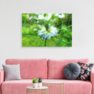 Kornblume Leinwanddruck