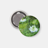 Kornblume Magnet (Vorderseite/Rückseite)