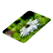 Kornblume Magnet (Linke Seite)