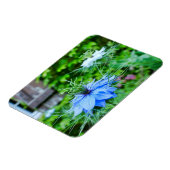 Kornblume Magnet (Linke Seite)