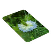 Kornblume Magnet (Rechte Seite)