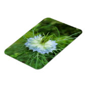 Kornblume Magnet (Linke Seite)