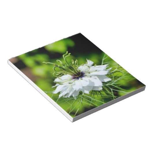 Kornblume Notizblock (angewinkelt)