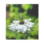 Kornblume Notizblock (Vorderseite)