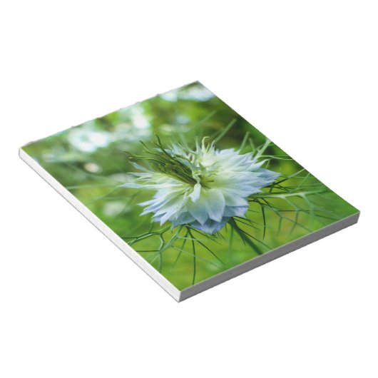 Kornblume Notizblock (angewinkelt)