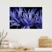 Kornblume Poster (Küche)