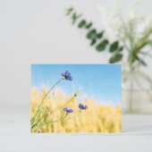 Kornblume Postkarte (Stehend Vorderseite)