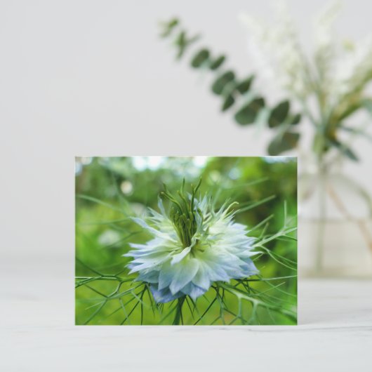 Kornblume Postkarte (Stehend Vorderseite)