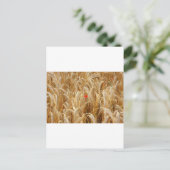 Kornblume Postkarte (Stehend Vorderseite)