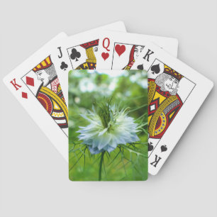 Kornblume Spielkarten