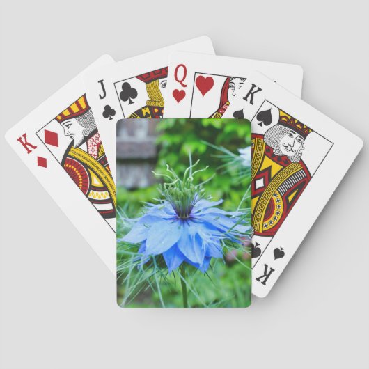 Kornblume Spielkarten (Rückseite)