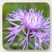 Kornblume Untersetzer (Vorderseite)