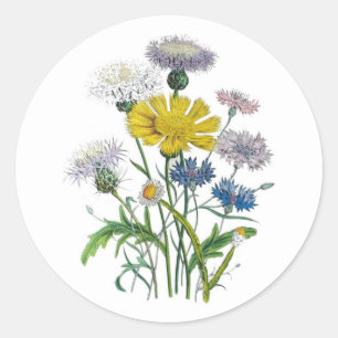 Kornblumen Runder Aufkleber