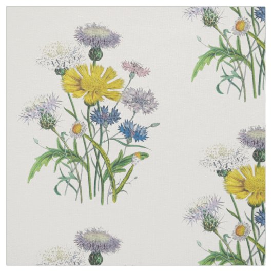 Kornblumen Stoff (Muster)