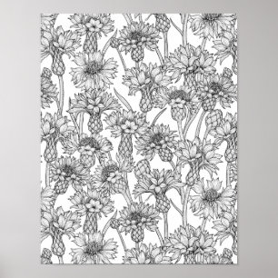 Kornblumen, Wildblumen in Schwarzweiß Poster