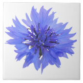 Kornblumenkachel Fliese (Vorderseite)