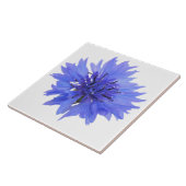 Kornblumenkachel Fliese (Seite)