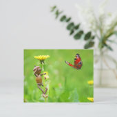 Kornelf auf Löwenzahn mit Schmetterling auf Wiese Postkarte (Stehend Vorderseite)