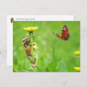 Kornelf auf Löwenzahn mit Schmetterling auf Wiese Postkarte (Vorne/Hinten)