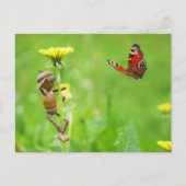 Kornelf auf Löwenzahn mit Schmetterling auf Wiese Postkarte (Vorderseite)