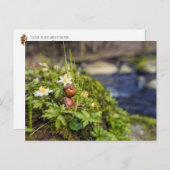 Kornelf mit Frühlingsblumen Postkarte (Vorne/Hinten)