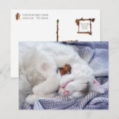 Kornelf mit Katze Postkarte (Vorne/Hinten)