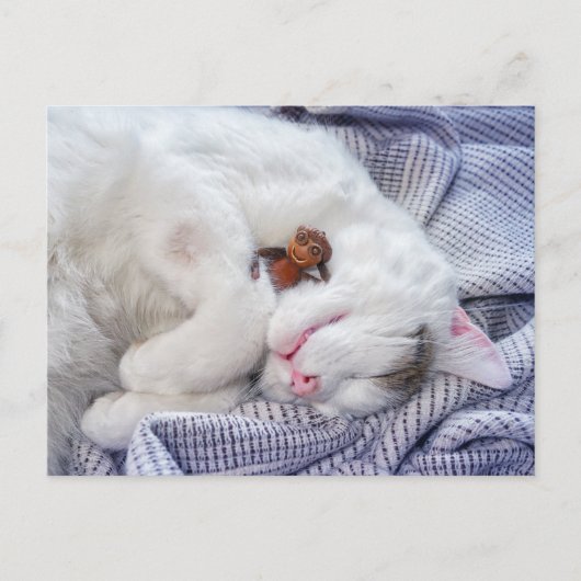 Kornelf mit Katze Postkarte (Vorderseite)