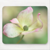 Kornelkirsche Kousa der Hartriegel-Blüten-| Mousepad (Vorne)