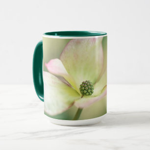 Kornelkirsche Kousa der Hartriegel-Blüten- Tasse
