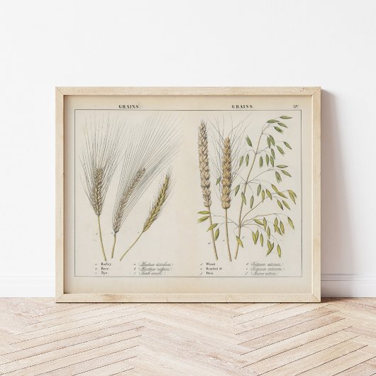 Körner | Charlotte Mary Yonge Poster