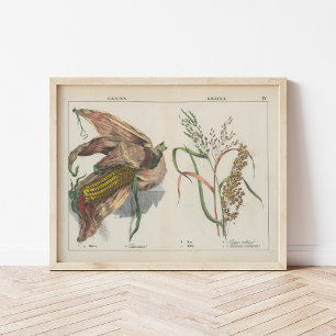 Körner   Charlotte Mary Yonge Poster