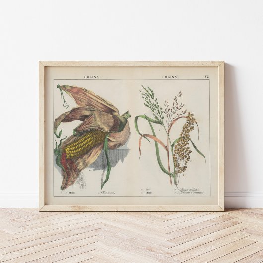 Körner | Charlotte Mary Yonge Poster