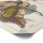 Körner | Charlotte Mary Yonge Poster (Ecke)