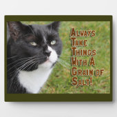 Körner der Salzkatzenberatung Motivationszeit Fotoplatte (Vorderseite)