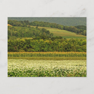 Körnerfelder Postkarte