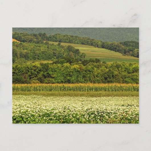 Körnerfelder Postkarte (Vorderseite)