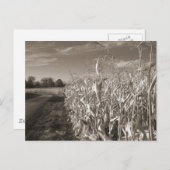 Körnerfelder Postkarte (Vorne/Hinten)