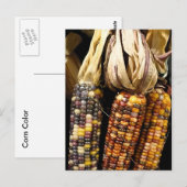 Kornfarbe Postkarte (Vorne/Hinten)