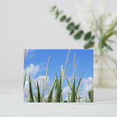 Kornfeld Postkarte (Stehend Vorderseite)