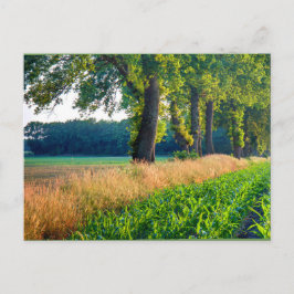 Kornfeldrand Postkarte