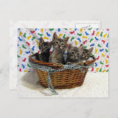 Körnig Tabby Katzen - Postkarte (Vorne/Hinten)