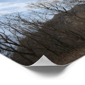 Kornische Anwesen-Ruinen Poster (Ecke)