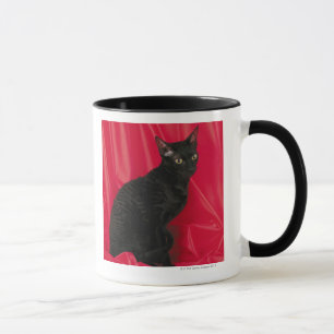 Kornische rex Katze Tasse