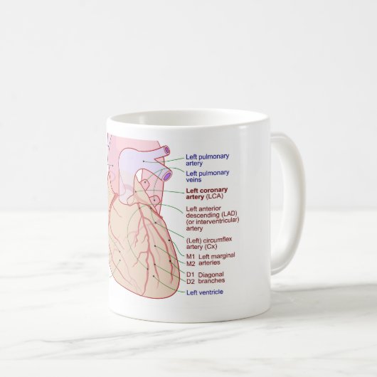 Koronare Arterien Umlaufdiagramm des menschlichen  Kaffeetasse (VorderseiteRechts)